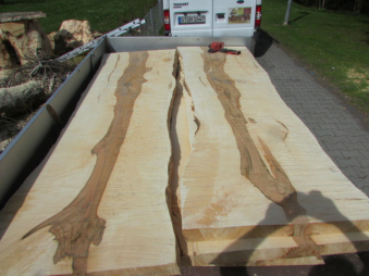 Sycamore maple tabletop & countertop blanks in the lumberyard of Patrick Herrmann-Mobilsäge-BW in Stuttgart-Germany