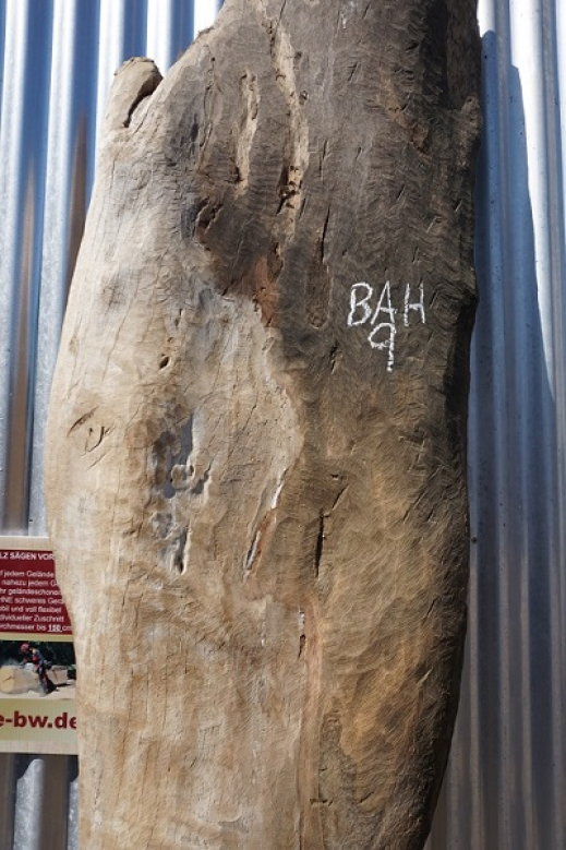 BAH9 Detail