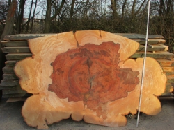 Charakterstarke Massivholz Baumscheiben & Holzscheiben aus regionalen monumentalen und ausdrucksstarken Baumstämmen in der Region Stuttgart-Baden-Württemberg und Bayern für DIY-Handwerker und Pros wie Schreiner und Innenarchitekten. Besonders geeignet für