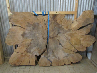 Baumscheibentisch Rohling BU54