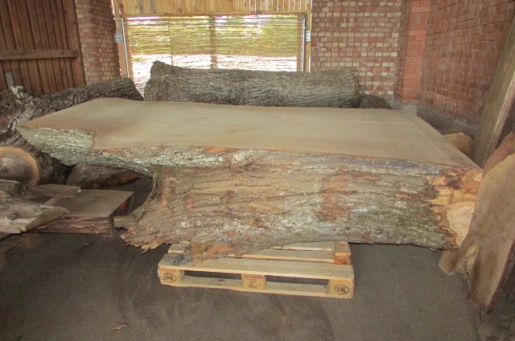 BT3-Esskastanie Unikat Baumstamm-Bartheke 350x134x90cm