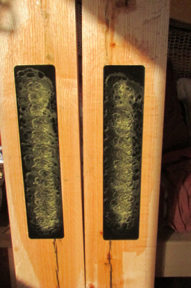 Photo legs during oil application