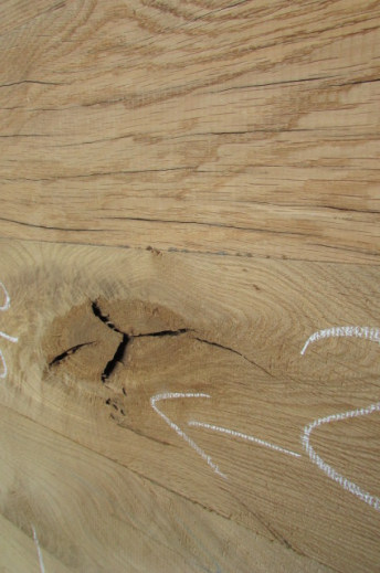 detail oak wood
