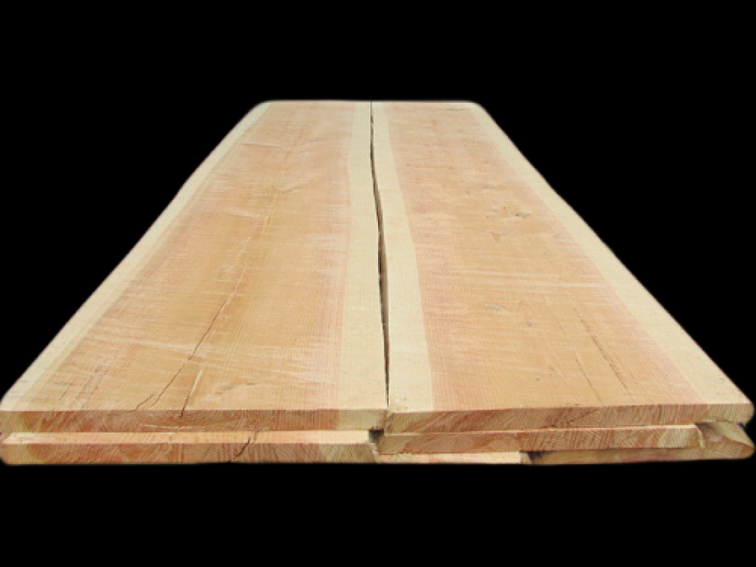 douglas fir