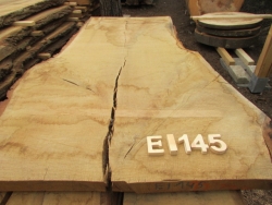 Ausdrucksstarke einmalige Tischrohlinge & Monolith-Tischplatten im Holzhandel Stuttgart aus regionalem Massivholz, selektiert im süddeutschen Raum mit Schwerpunkt der Region Stuttgart, Rottenburg und Nürnberg. Viele Holzarten wie Eiche, Nussbaum und Plata