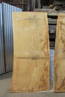 Monolith Eiche Baumstammrohling  aus meinem Ausnahme-Eichenstamm No.6527 aus Gunzenhausen in Bayern. Besonders makellos, nicht/kaum verzogene, langjährig abgelagert extrem reifes und schönes Eichenholz. Ansicht und Auswahl vor Ort in 70771 Leinfelden in m