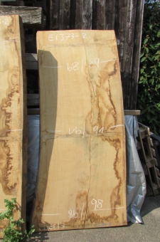Monolith Oak Log Blank from my exceptional oak log No. 6527 from Gunzenhausen in Bavaria. Exceptionally flawless, with little to no warping, this oak wood has been seasoned for many years and is extremely mature and beautiful. View and select in person at