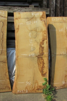 Raw tree trunk tabletop with natural edge; view and selection at Patrick Herrmann-Mobilsäge-BW's lumberyard in Stuttgart