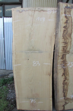 Oak monolith tree trunk table blank with natural edge from Bavaria, exceptionally flawless, flat, and mature; Contact: Holzhandlung Stuttgart-Mobilsäge-BW