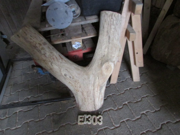 Zwieselabschnitt