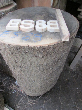 log section