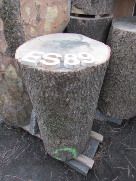 ES 89