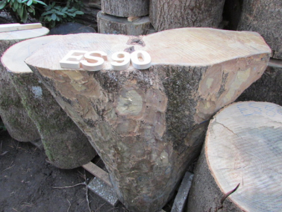 ES 90