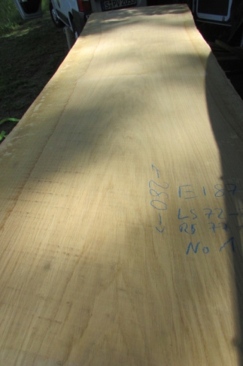 Oak blank from an extraordinary oak stem available at Patrick Herrmann one-of-a-kind tables & lumberyard in Stuttgart-germany