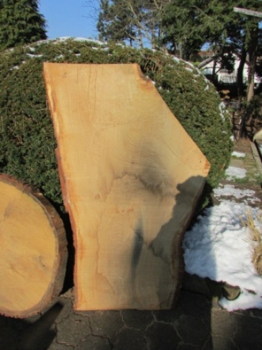 massive Eichen Zwiesel-Bohle