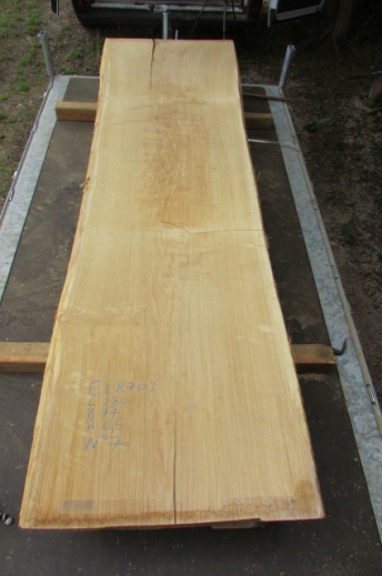 Oak blank from an extraordinary oak stem available at Patrick Herrmann one-of-a-kind tables & lumberyard in Stuttgart-germany
