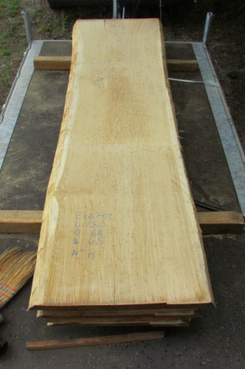 Oak blank from an extraordinary oak stem available at Patrick Herrmann one-of-a-kind tables & lumberyard in Stuttgart-germany