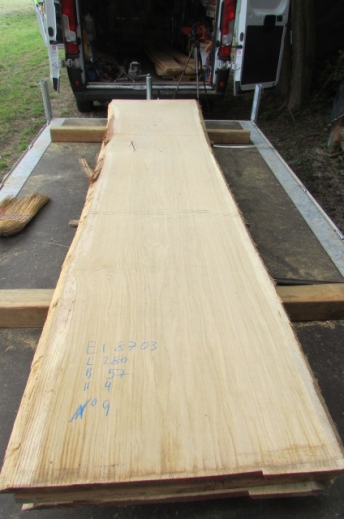 Oak blank from an extraordinary oak stem available at Patrick Herrmann one-of-a-kind tables & lumberyard in Stuttgart-germany