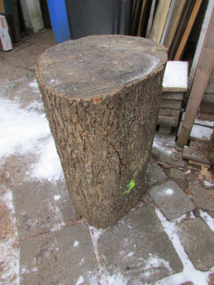 ash log section