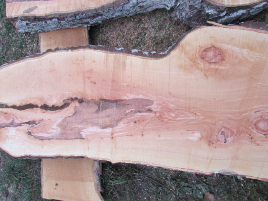 Birnbaum Bohle