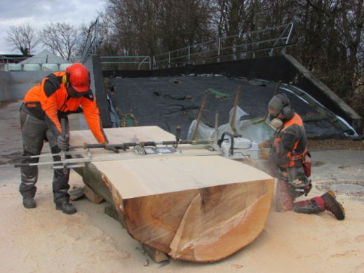 Mobilsäge-BW from Stuttgart—Patrick Herrmann's team cutting into a massive beech log in Stuttgart