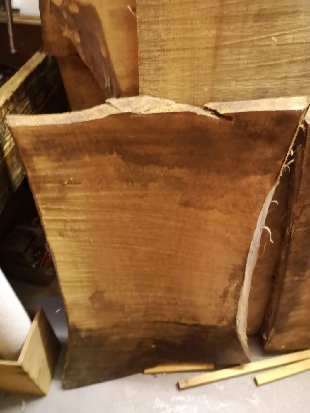 Walnut