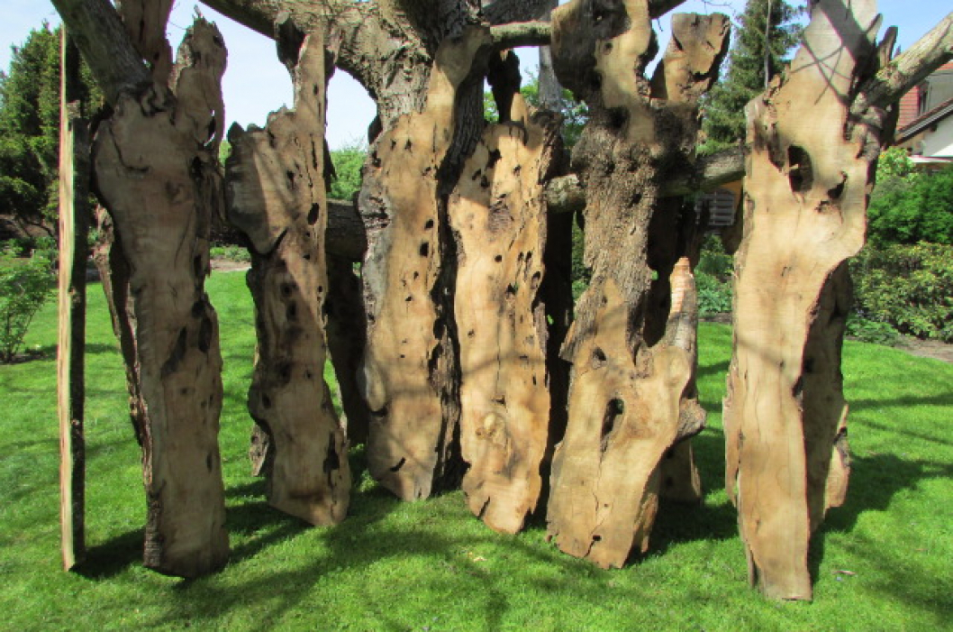 Olivenholz Tischrohlinge