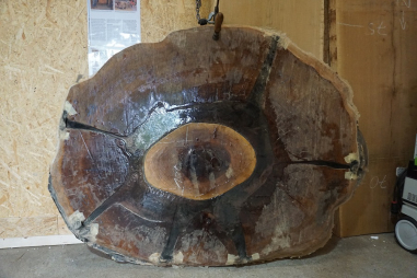 Baumscheibentisch Eiche TP38