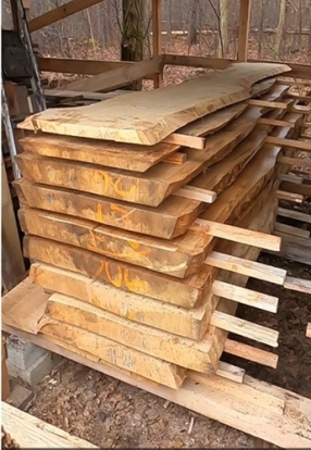 Oak tabletop blanks from one stem, 2,7 Inches thick, in teh lumberyard Stuttgart of Patrick Herrmann-Mobilsäge-BW