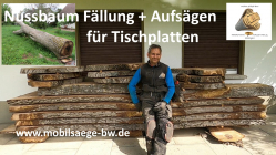 Nussbaumholz