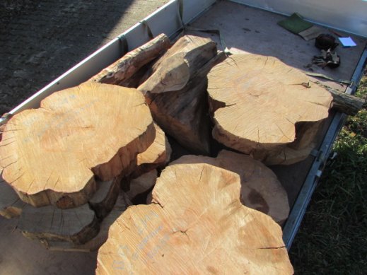 pear wood slices