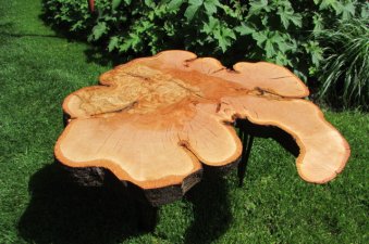 Blutbuche Scheiben-Beistelltisch