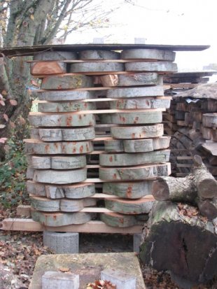 Solid wood slices blood beech