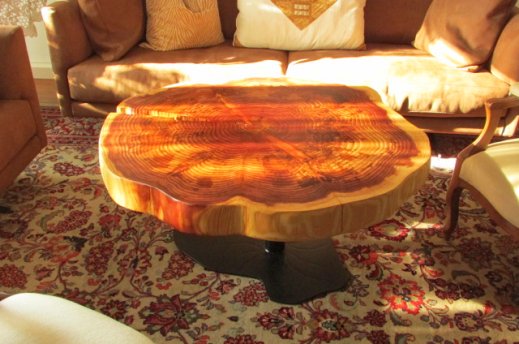 sequoia slice coffee table