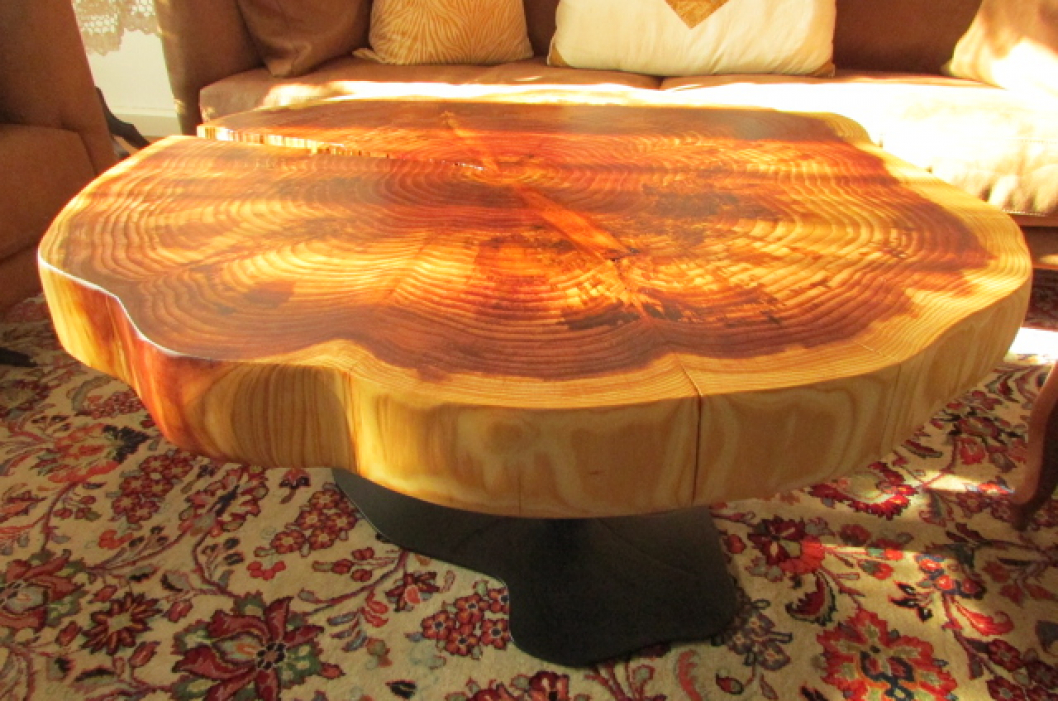 coffee table sequoia slice