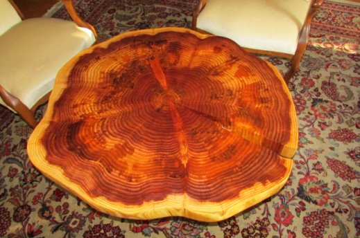 cookie coffee table sequoia