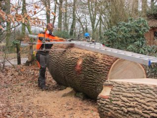 oak milling ca.55 inch diameter
