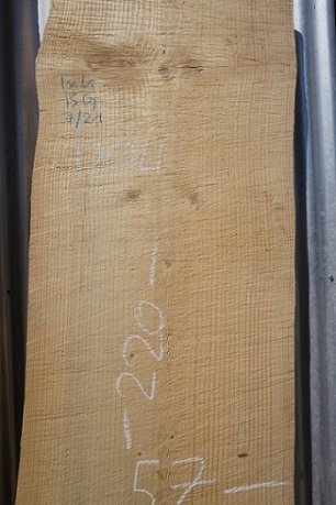 douglas fir