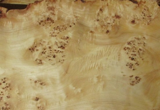 burl detail