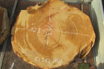 Eichenscheibe EI 362