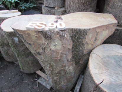 Esche Baumstammblock