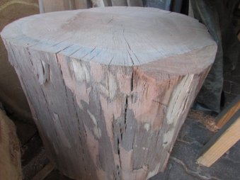Blank oak block ca.50cm high and 60-70 cm diameter