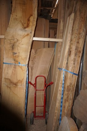 various oak stems