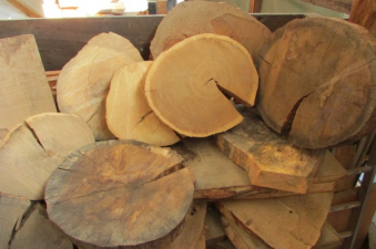 wood slices