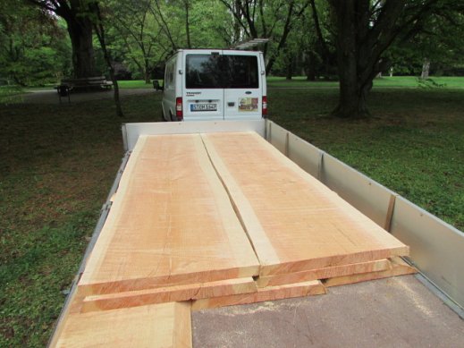 douglas fir