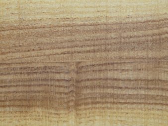 japanischer Schnurbaum