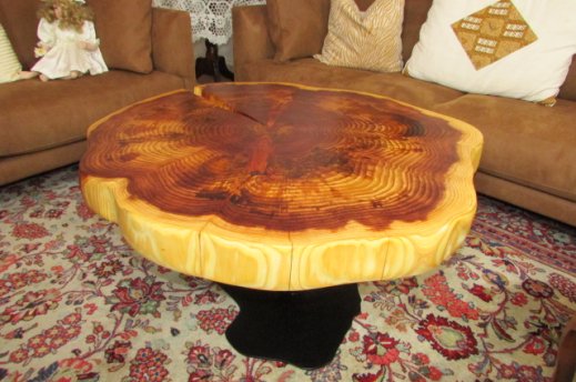 sequoia slice coffee table