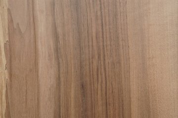 Nussbaum europäisch