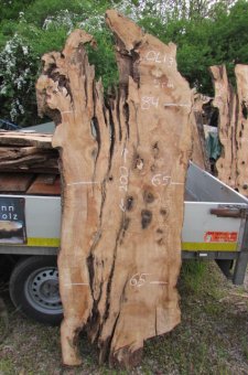 olive wood blank