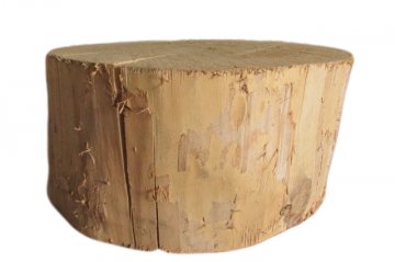 poplar stem block